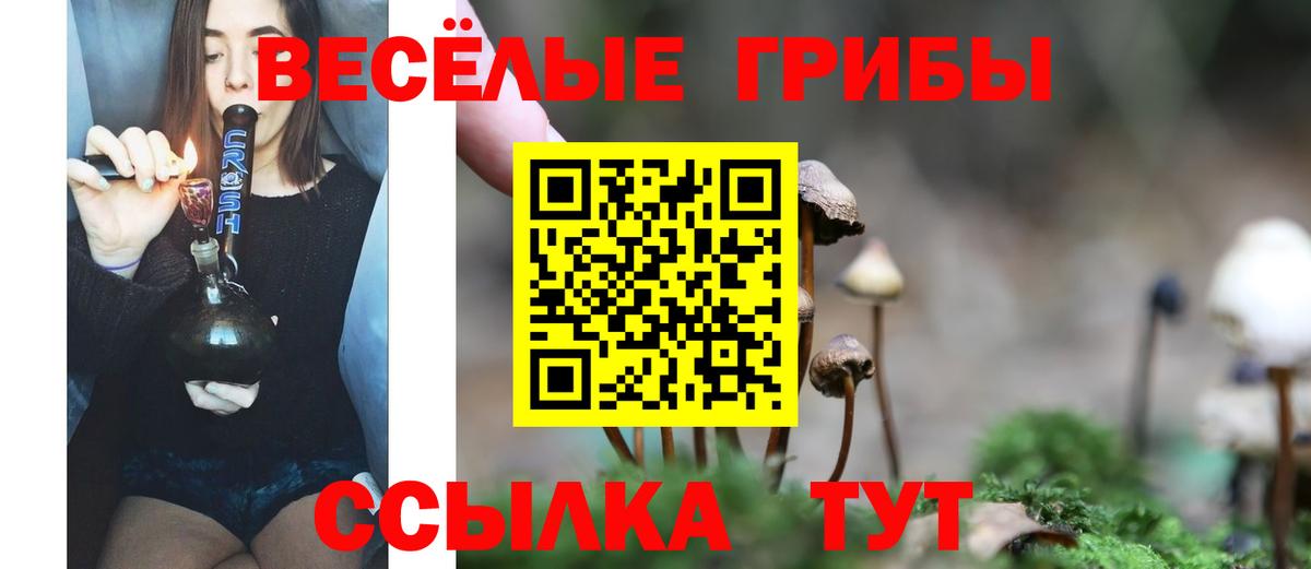 Богданович  как найти   Вход с VPN  Псилоцибиновые грибы Psilocybe  Галлюциногенные грибы Magic Shrooms 