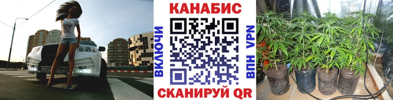 Канабис SATIVA & INDICA Богданович